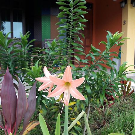 Vila Raintree Bangsak Khao Lak Exteriér fotografie